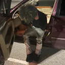 dalowrld