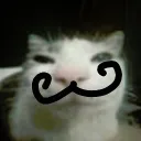 cyanideq