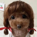 avatar BLUEBERRY SPICEHEAD