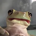 marisdino