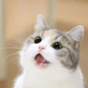 mftmg