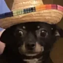 isaacro5