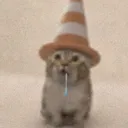 __crvz__