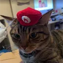 mrsmikesunboxing