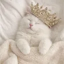 mccatster