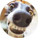 chazzc