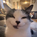 avatar blink