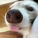 .yujeong_12