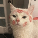 avatar Escape from her