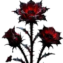 o666999o