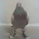 nagiboti