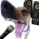 .turbocobra23
