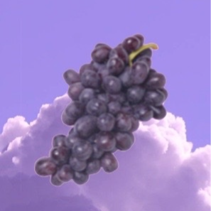 grapes5e.#0's pfp