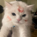 avatar 𝔧