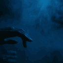 avatar PhotographerNout