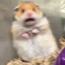 oldgattu