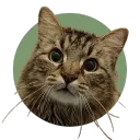 cosu_