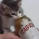 plscallmefish