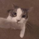 avatar !  LohSky 💛