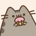katie