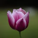 jamesl567