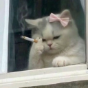 avatar ࣪ ִֶָ☾. ⋆.˚ ꪖꪗꪖꪀꫀ ⋆.˚ ᝰ.ᐟ