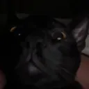 aaronmz_
