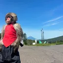 pavelpoubelle