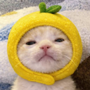 avatar Lemonmap<3