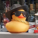 avatar aplikatora1231