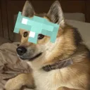 peenj