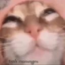 cheese_rindo