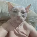 omexon