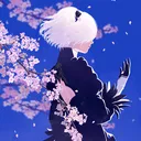 shadoessb