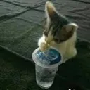 breached