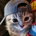 koolkev246