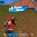 tsm_hamplinz9433