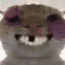 reveriesfong