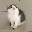 MNMmythical's Avatar