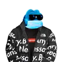 cyn77