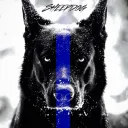 sheepdogtm