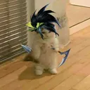 pom2taire