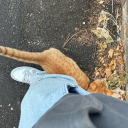 avatar 𝕂𝕒𝕣𝕝