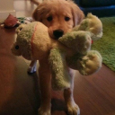 avatar lucie !!