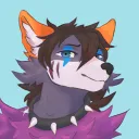 sillyshark123