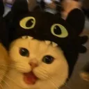 notsnoopi