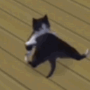 avatar Flo | GodComplex