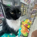 mewzi0