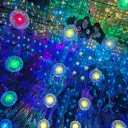 electrotrip