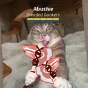 abusive0